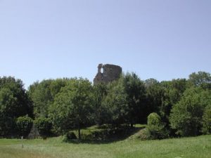 Donjon de Fréteval, vue lointaine, avec la forêt